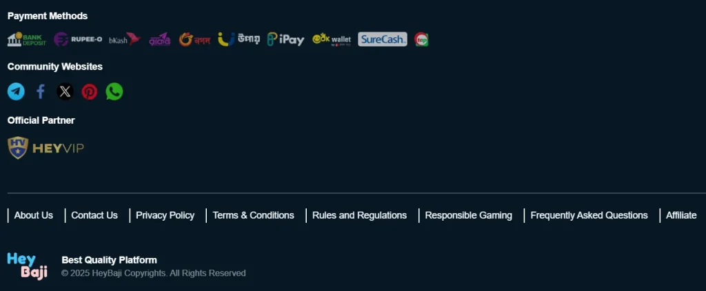 Final Thoughts: Should You Use HeyBaji?